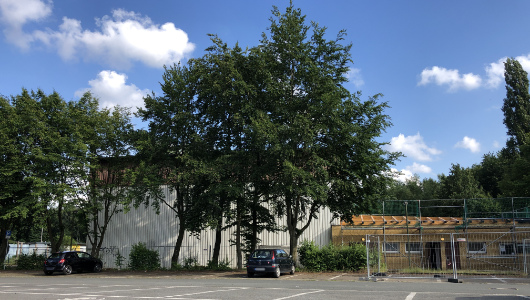 Sportzentrum an der Berliner Straße